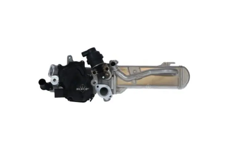 Skorzystaj z oferty | Chłodnica egr NRF 48205 1701764