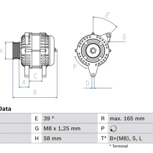 ALTERNATOR | Kup dziś