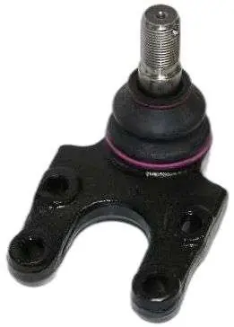 SWORZEŃ WAHACZA - Nie przegap